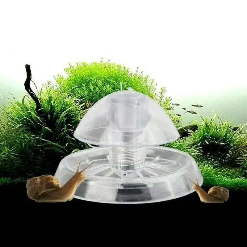 Aquarium Fish Farm - กับดักหอยทากพลาสติกใสขนาด 6/8 ซม. รุ่นใหม่ ปี 2026