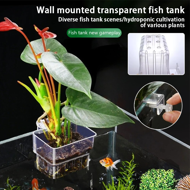 Aquarium Fish Background - กระถางแขวนติดผนังสำหรับปลูกพืชน้ำในตู้ปลา ตะกร้าปลูกพืชน้ำในตู้ปลา กระถางปลูกพืชน้ำในตู้ปลา