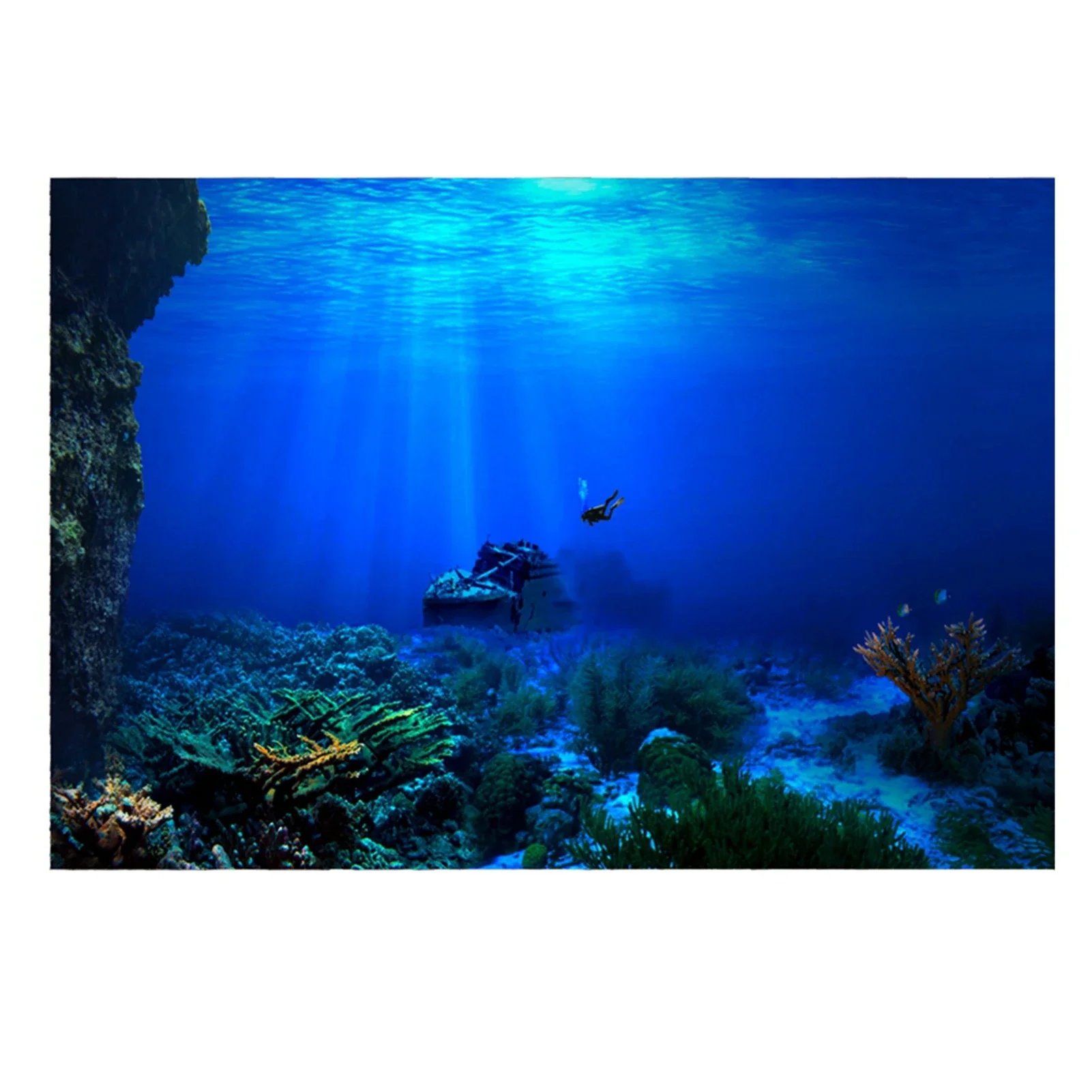 Aquarium Fish Of The World - ป่าฝนกล่อง PVC โปสเตอร์ติดตู้ปลาตู้ปลาตู้ปลากล่องสัตว์เลื้อยคลาน3D ใต้น้ำโลกภูมิทัศน์รูปภาพวอลล์เปเปอร์ฉากหลังตกแต่ง