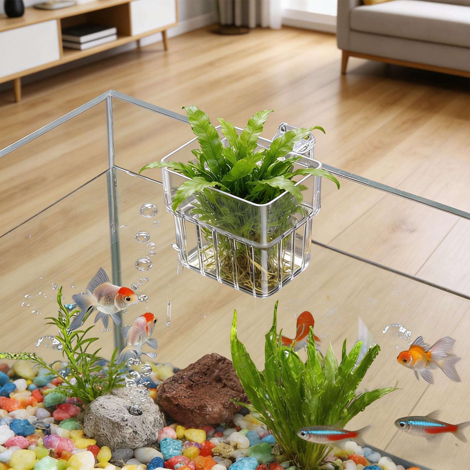 Aquarium Fish Names - กระถางใสสำหรับแขวนปลูกพืชน้ำในตู้ปลา ระบบไฮโดรโปนิกส์ ตกแต่งสถานที่ทำงานในร่ม ตกแต่งสำหรับการปลูก