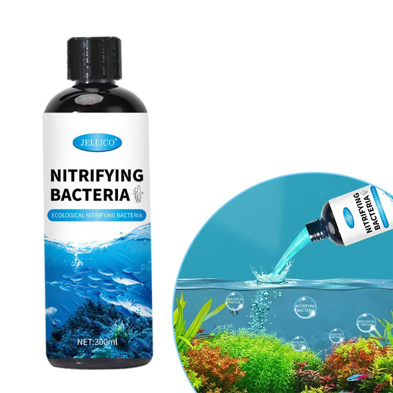 Aquarium Fish Farm - Nitrifying Bacteria Liquid Fish Tank เครื่องกรองน้ํา