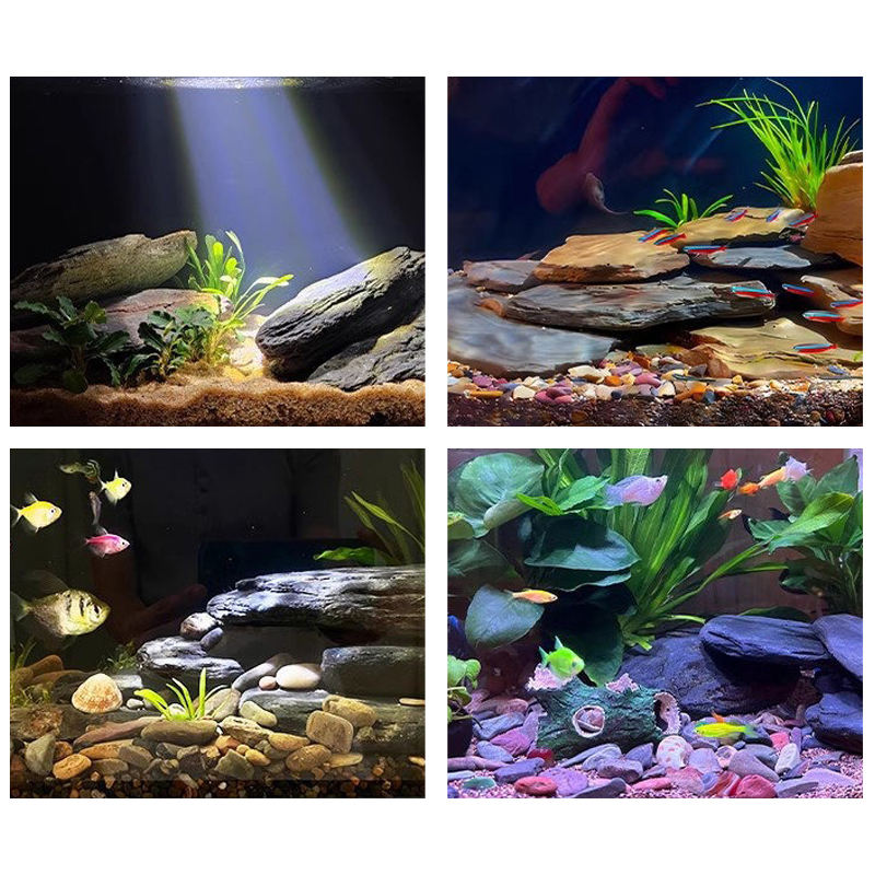 ชุดหินตกแต่งตู้ปลา 500/1000 กร - Aquarium Fish Farm บทวิจารณ์และราคา