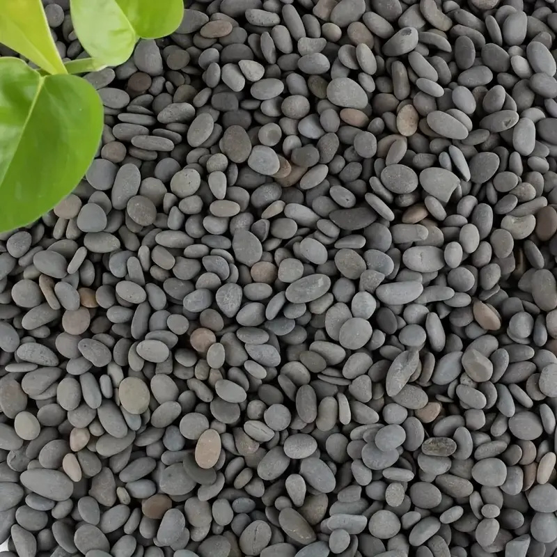 20 ชิ้นธรรมชาติ River Rocks Sm - Aquarium Fish Farm บทวิจารณ์และราคา