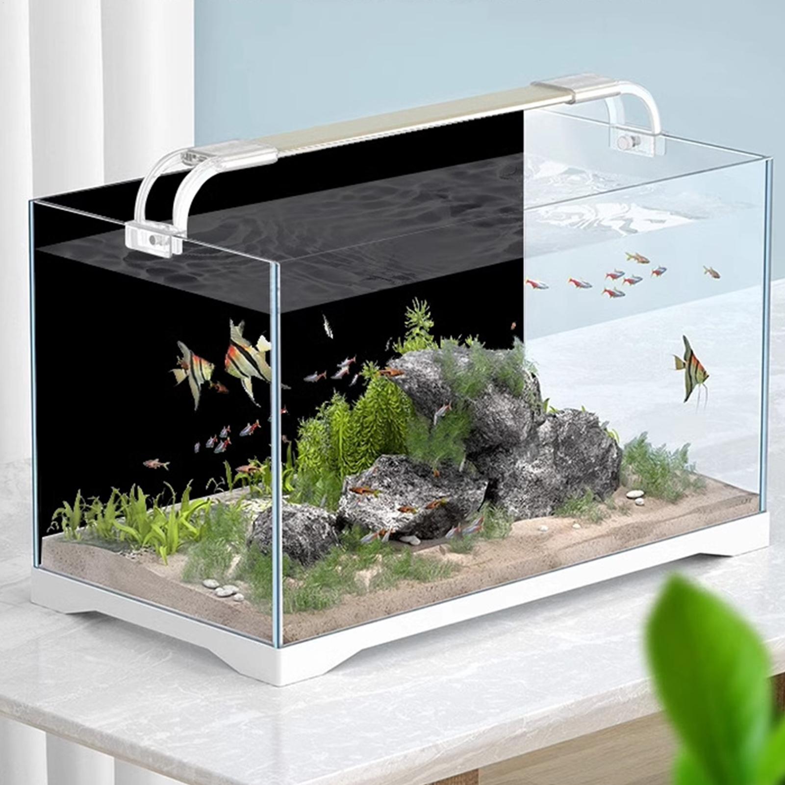 สติ๊กเกอร์พื้นหลังตู้ปลา ฟิล์ม - Aquarium Fish Background บทวิจารณ์และราคา