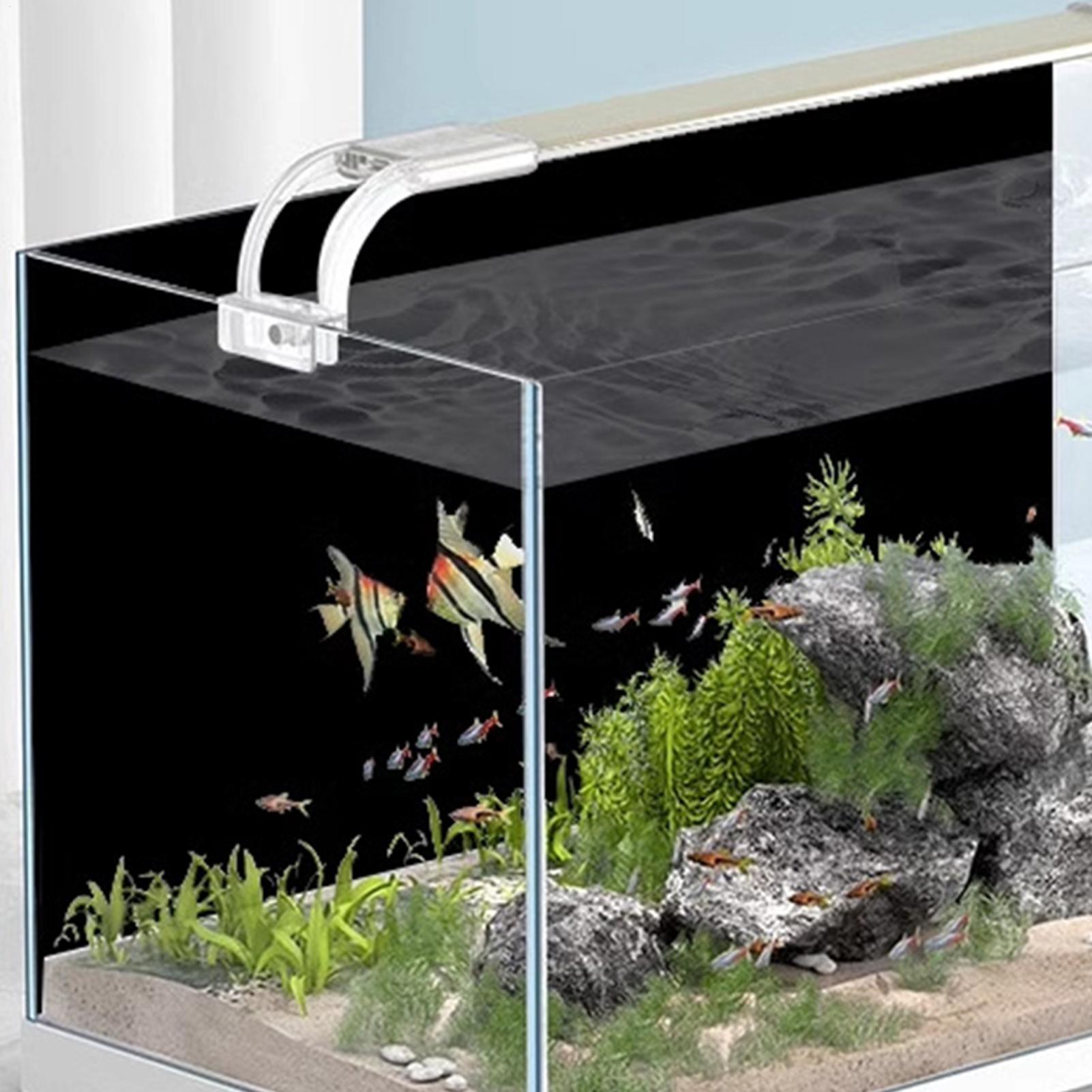 สติ๊กเกอร์พื้นหลังตู้ปลา ฟิล์ม - Aquarium Fish Background บทวิจารณ์และราคา