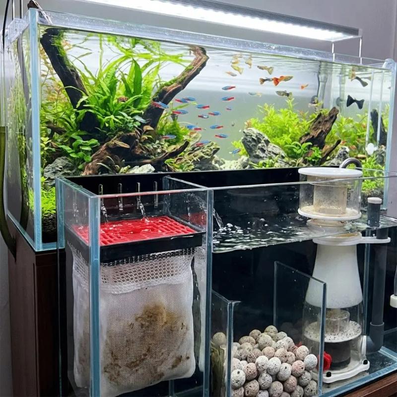 ถุงกรองตู้ปลา ระบบกรองที่มีประ - Aquarium Fish Background บทวิจารณ์และราคา