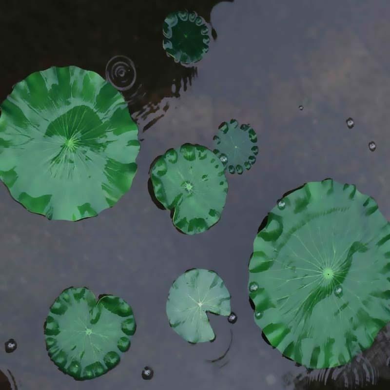 ใบบัวประดิษฐ์ ปี 2026 สำหรับตก - Aquarium Fish In Pond บทวิจารณ์และราคา
