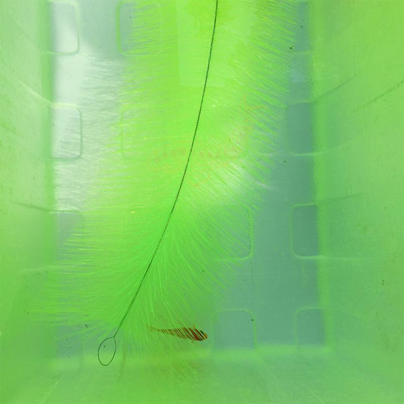 หญ้าเพาะพันธุ์สำหรับการฟักไข่ป - Aquarium Fish Farm บทวิจารณ์และราคา