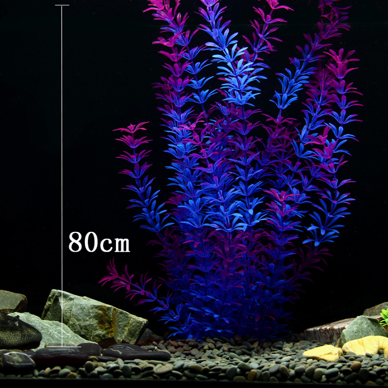 ต้นไม้เขตร้อนขนาด 100 ซม. หญ้า - Aquarium Fish Farm บทวิจารณ์และราคา