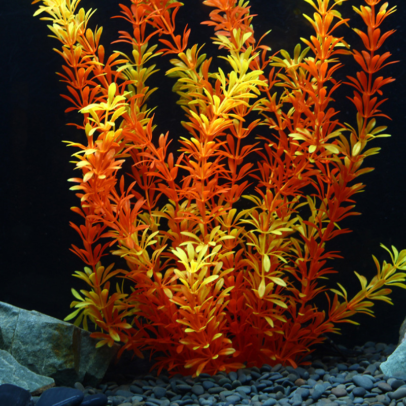 ต้นไม้เขตร้อนขนาด 100 ซม. หญ้า - Aquarium Fish Farm บทวิจารณ์และราคา
