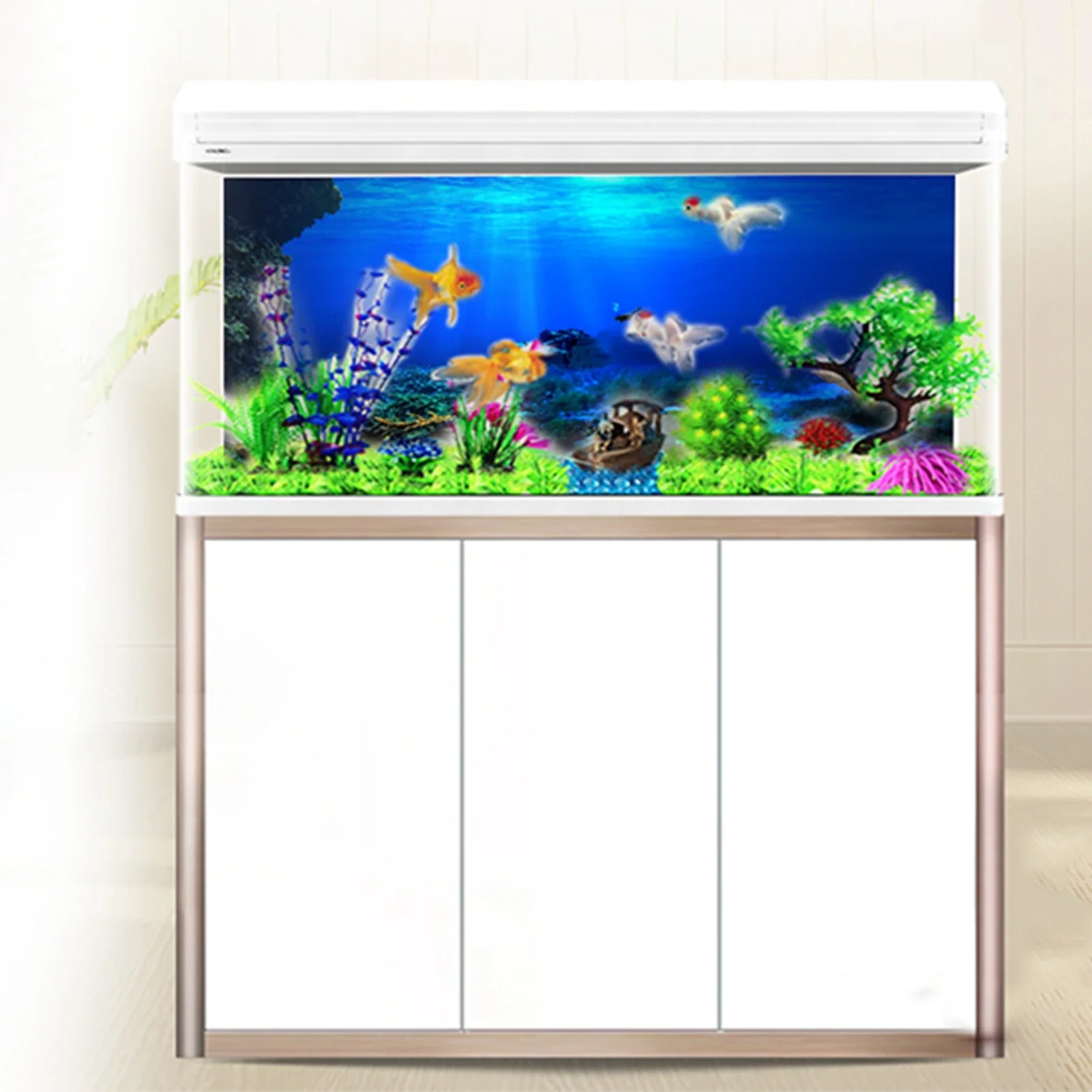 ป่าฝนกล่อง PVC โปสเตอร์ติดตู้ป - Aquarium Fish Of The World บทวิจารณ์และราคา