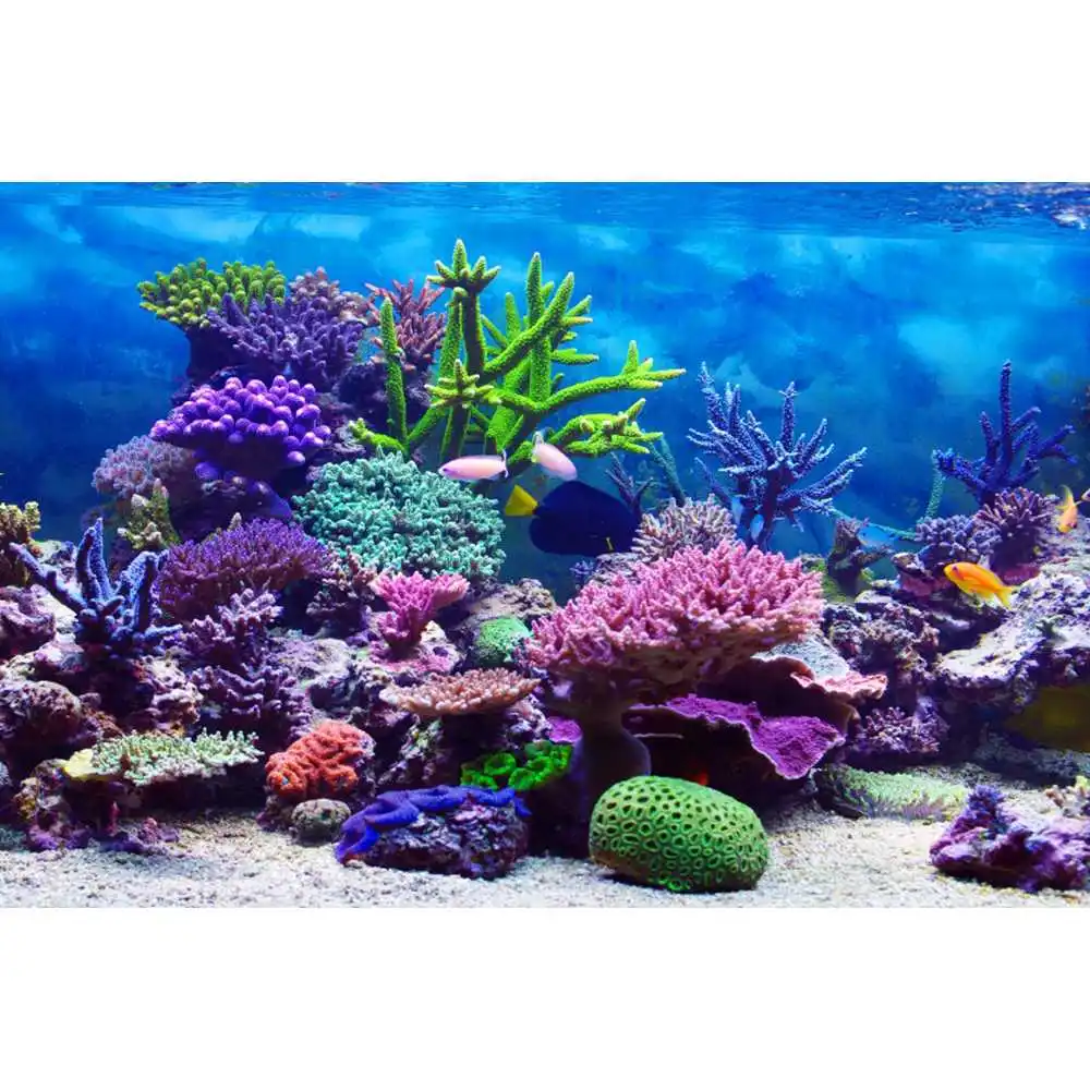 ฉากหลังโลกใต้ทะเล พื้นทะเล มหา - Aquarium Fish Of The World บทวิจารณ์และราคา