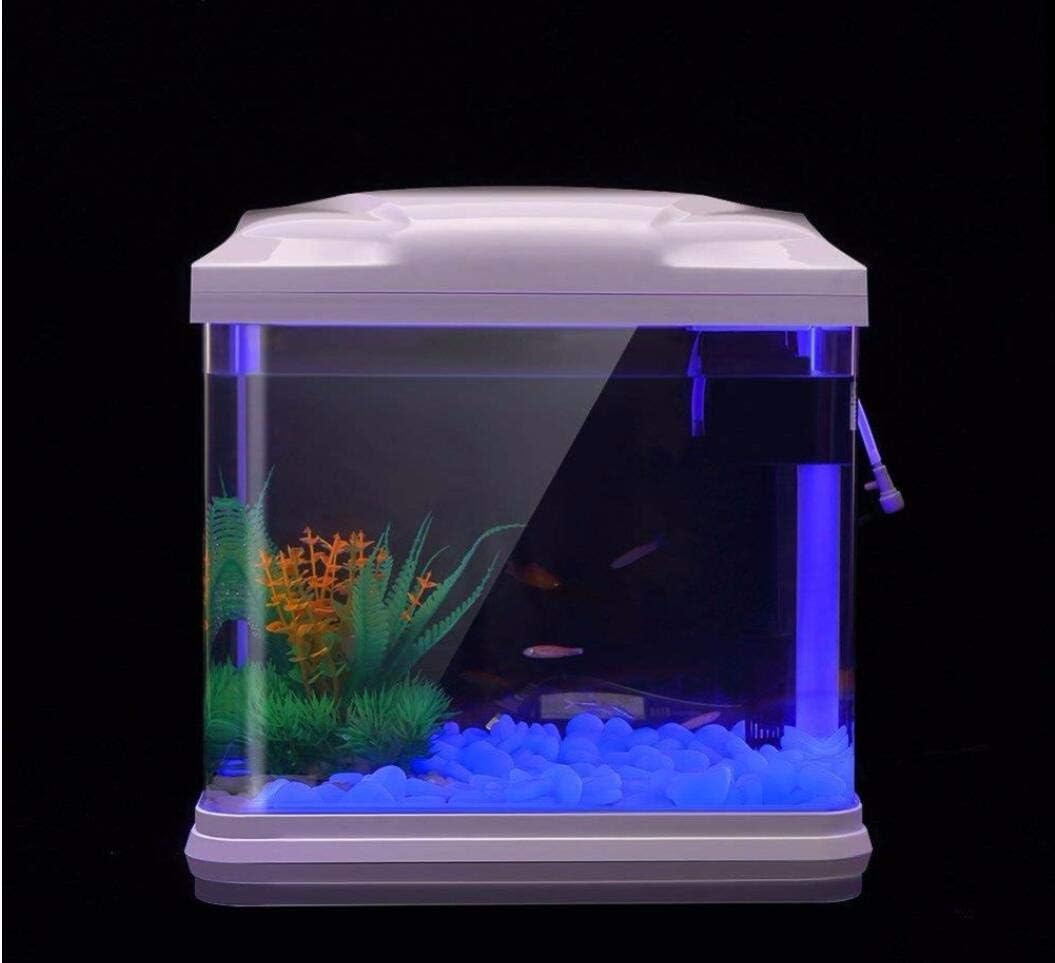 ถังปลา Rocks Glow Blue Pebbles - Aquarium Fish Farm บทวิจารณ์และราคา