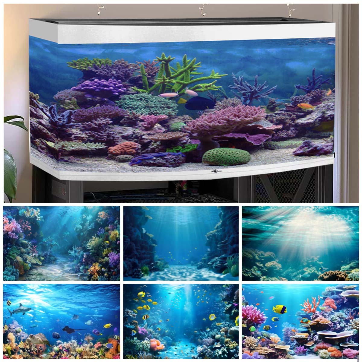 โลกใต้น้ําพื้นหลังสําหรับภาพOc - Aquarium Fish Of The World บทวิจารณ์และราคา