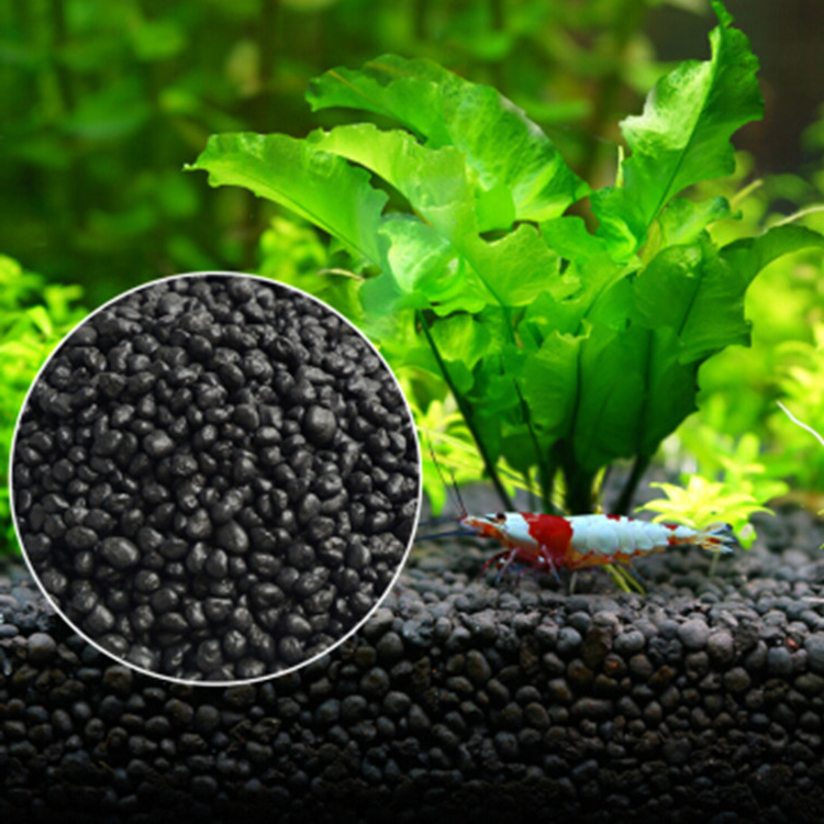พิพิธภัณฑ์สัตว์น้ำเมล็ดพืชดิน  - Aquarium Fish Background บทวิจารณ์และราคา