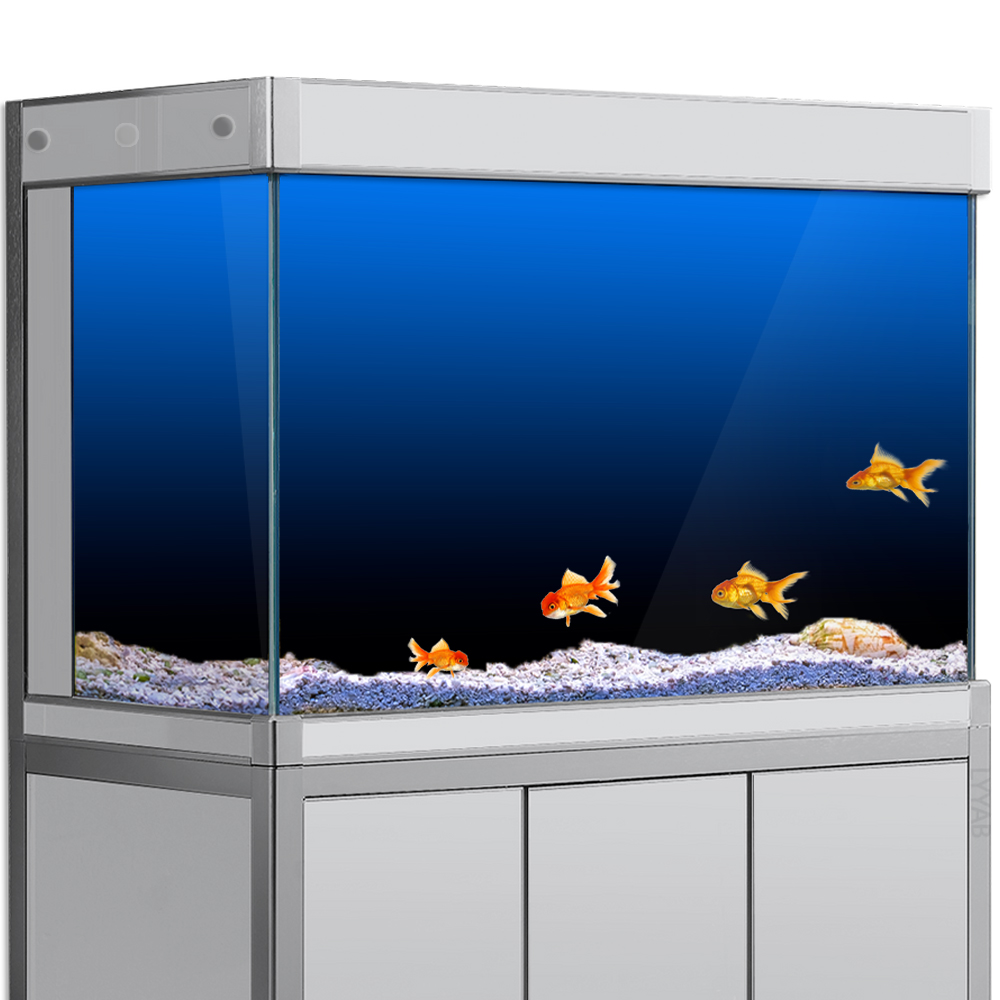 ตู้ปลาพื้นหลังสติกเกอร์สีดําสี - Aquarium Fish Background บทวิจารณ์และราคา