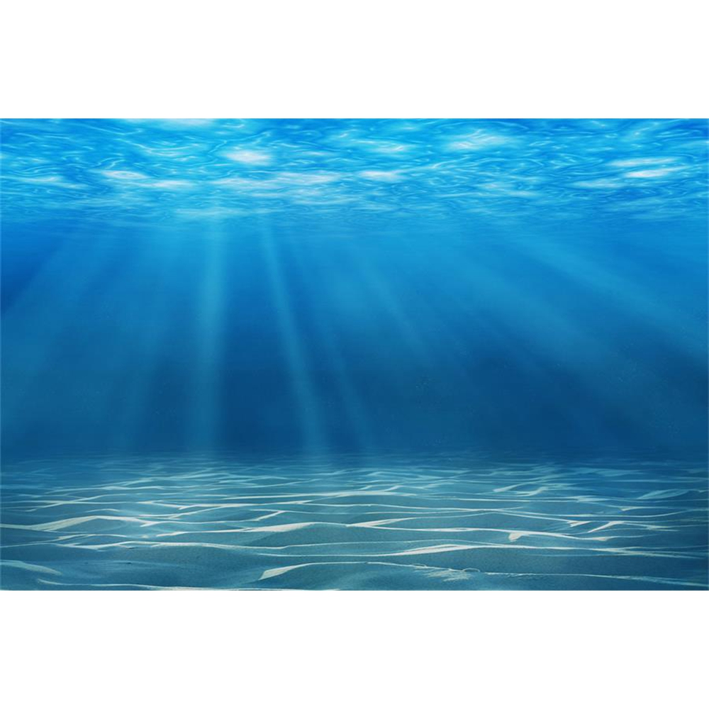 Underwater World ก้นทะเลการถ่า - Aquarium Fish Of The World บทวิจารณ์และราคา