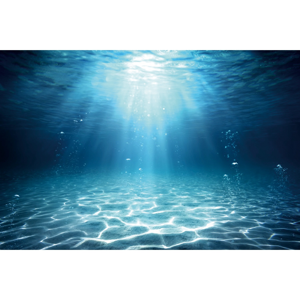 Underwater World ก้นทะเลการถ่า - Aquarium Fish Of The World บทวิจารณ์และราคา