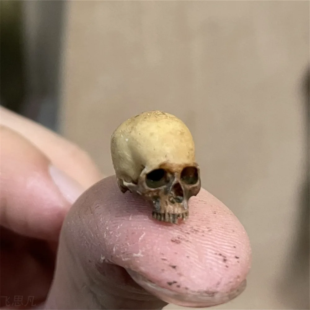 Mini Skull คุณภาพสูง Miniature - Aquarium Fish Names บทวิจารณ์และราคา
