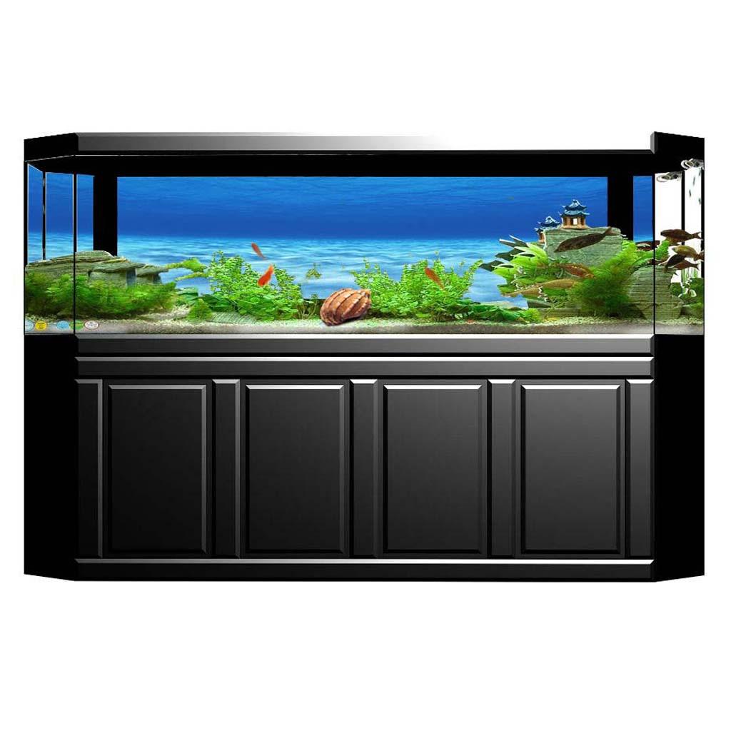 สติ๊กเกอร์ติดผนังตกแต่งตู้ปลา  - Aquarium Fish Of The World บทวิจารณ์และราคา