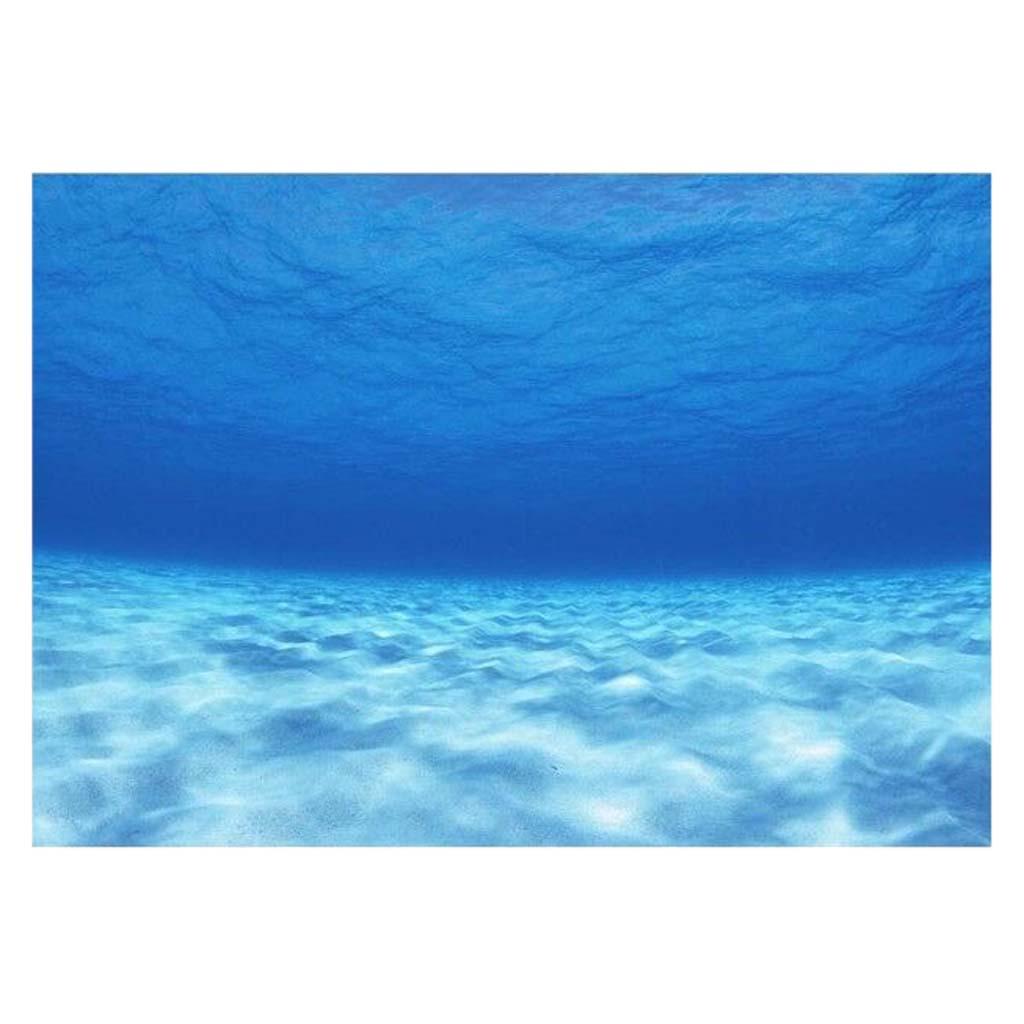 สติ๊กเกอร์ติดผนังตกแต่งตู้ปลา  - Aquarium Fish Of The World บทวิจารณ์และราคา