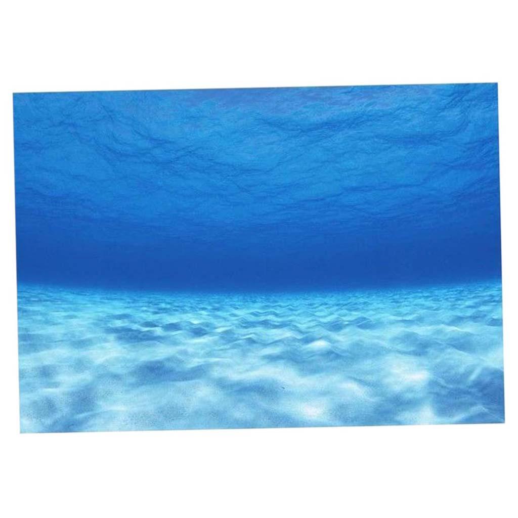 สติ๊กเกอร์ติดผนังตกแต่งตู้ปลา  - Aquarium Fish Of The World บทวิจารณ์และราคา