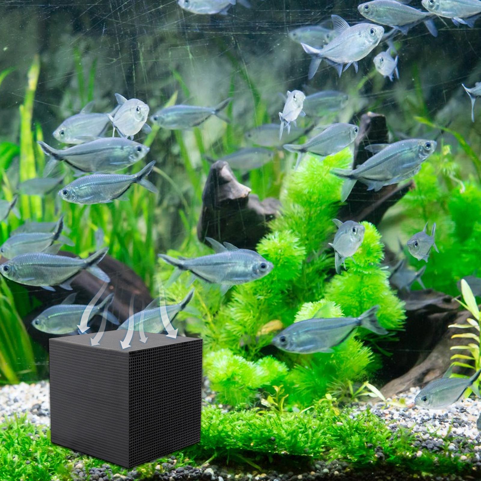 เครื่องกรองน้ำตู้ปลาแบบก้อน ระ - Aquarium Fish Background บทวิจารณ์และราคา