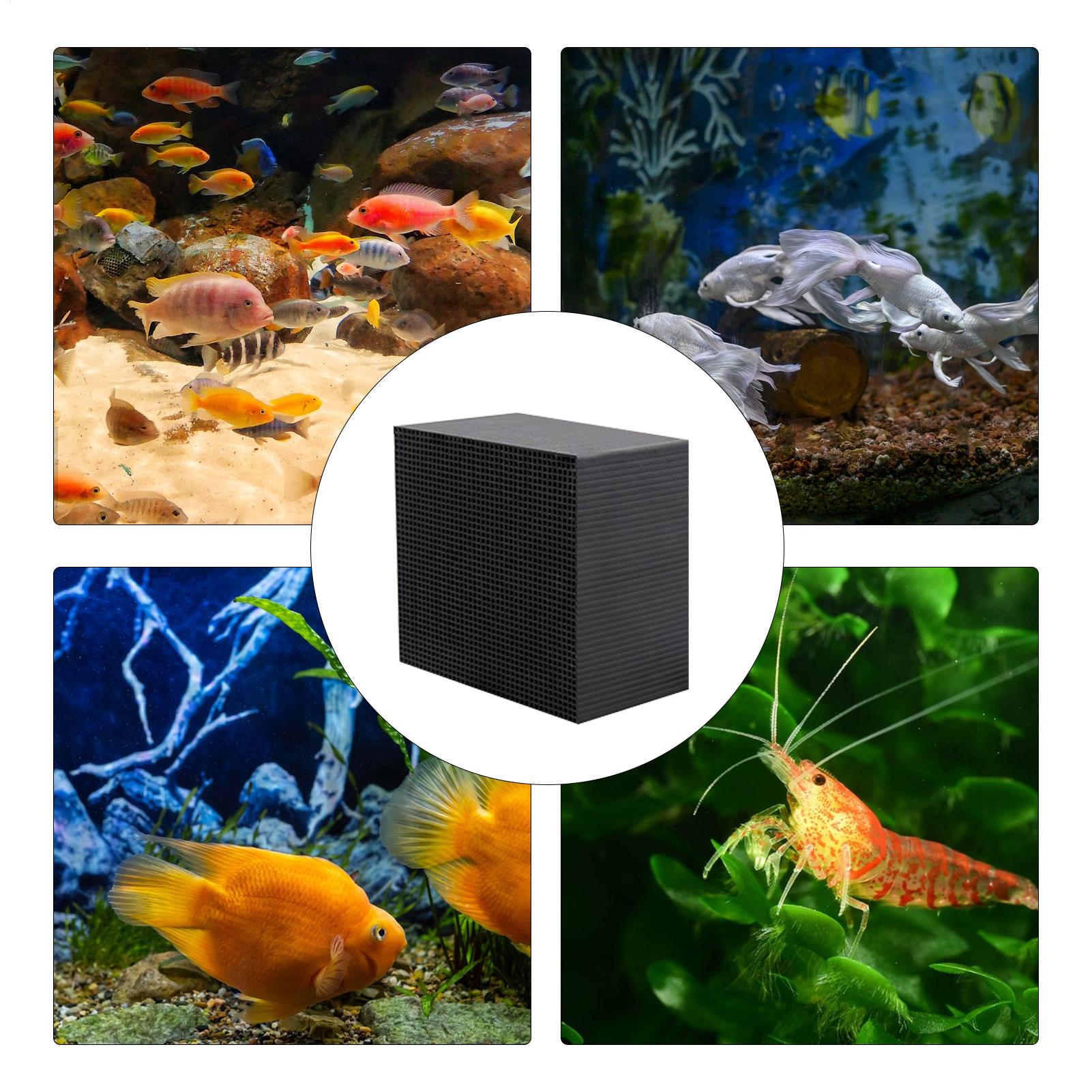 เครื่องกรองน้ำตู้ปลาแบบก้อน ระ - Aquarium Fish Background บทวิจารณ์และราคา