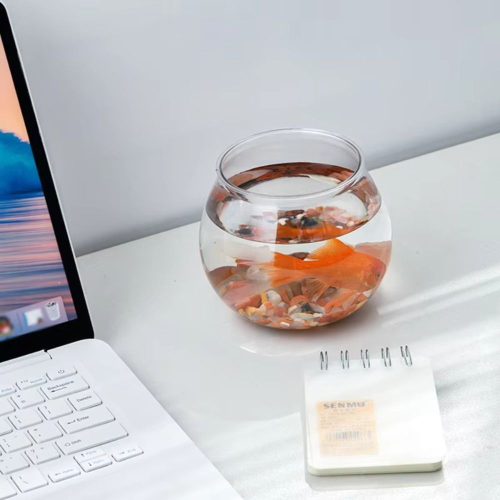 ตู้ปลาทรงกลมใสแบบใหม่ ไม่แตกหั - Aquarium Fish Names บทวิจารณ์และราคา