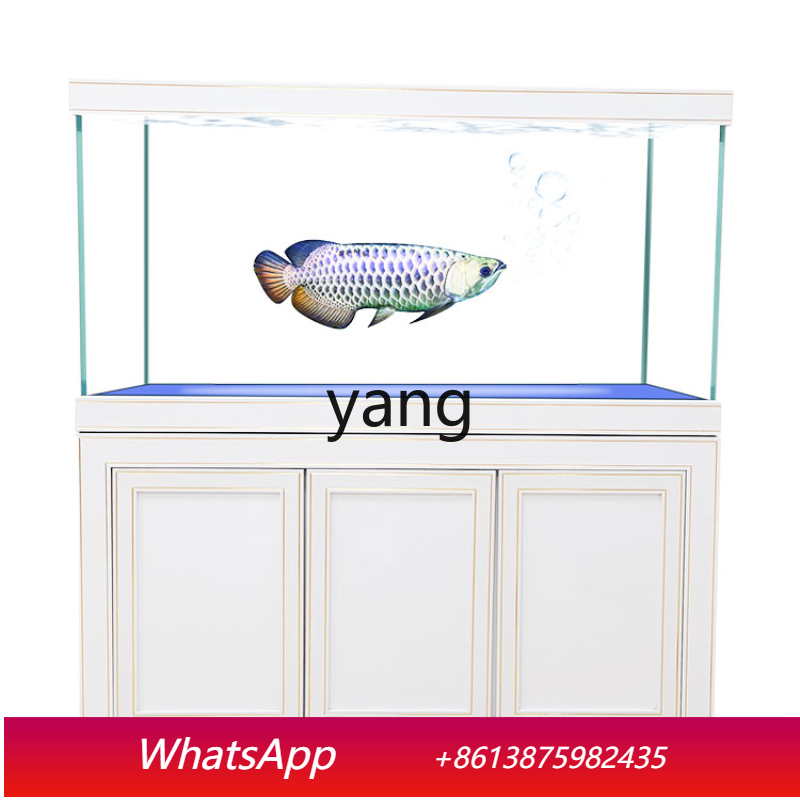 ตู้ปลาทรงสูงขนาดกลางและใหญ่ รุ - Aquarium Fish Dragon บทวิจารณ์และราคา